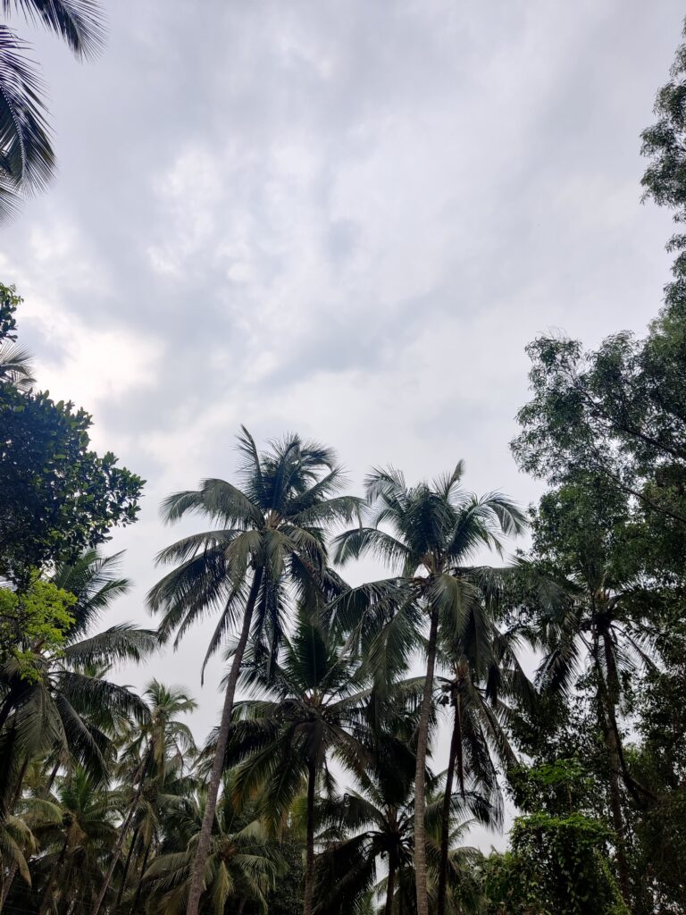 LESS CROWDED GOA